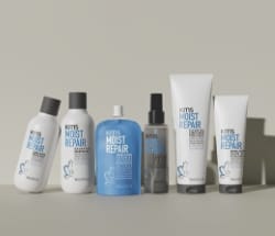 Produits KMS Moistrepair