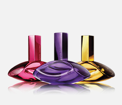 Calvin Klein Euphoria Elixir Parfum Flacons