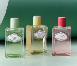 Flacons Prada Les Infusion